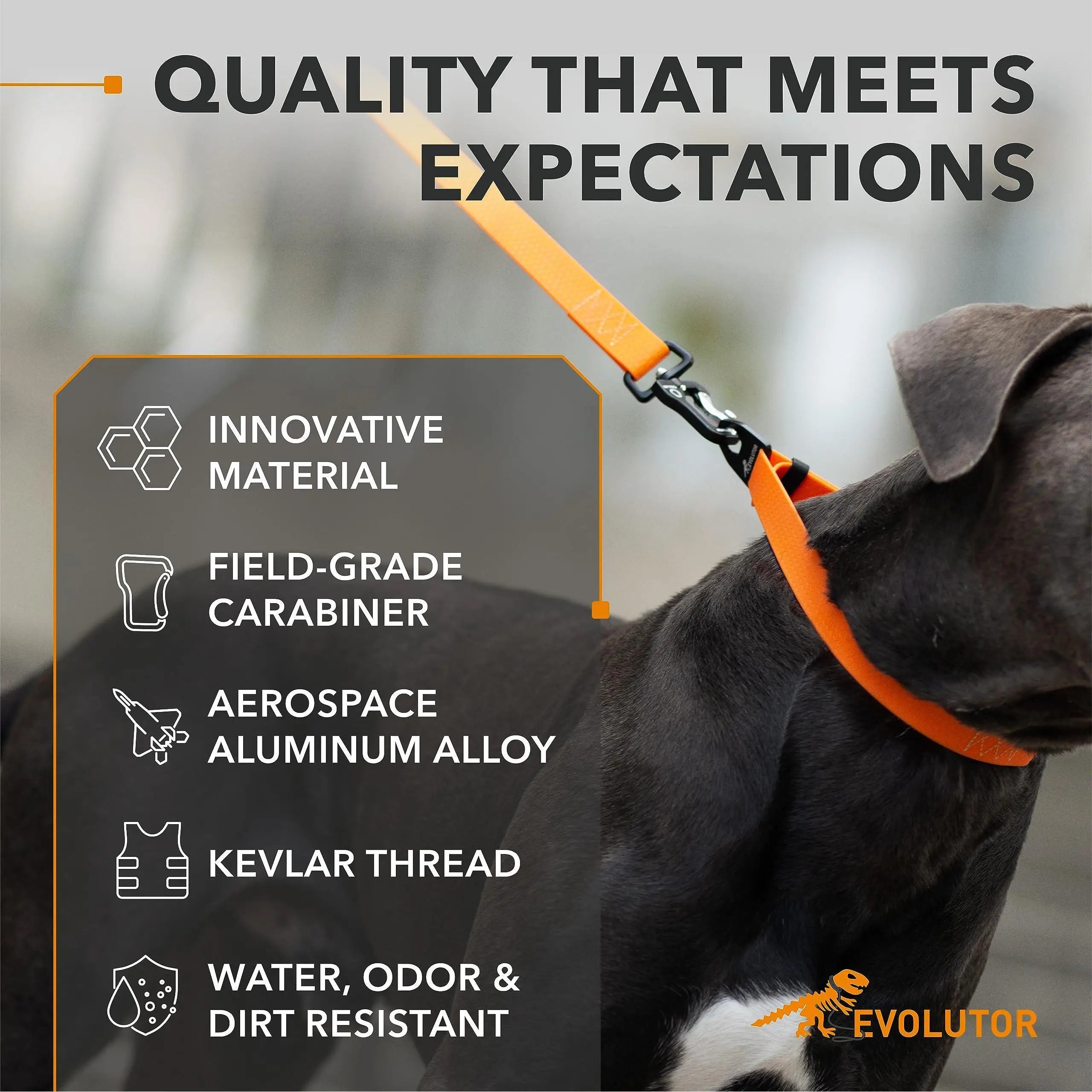 Extra Heavy-Duty Dog Leash – 4 Ft Durable Lead for Medium & Large Breeds