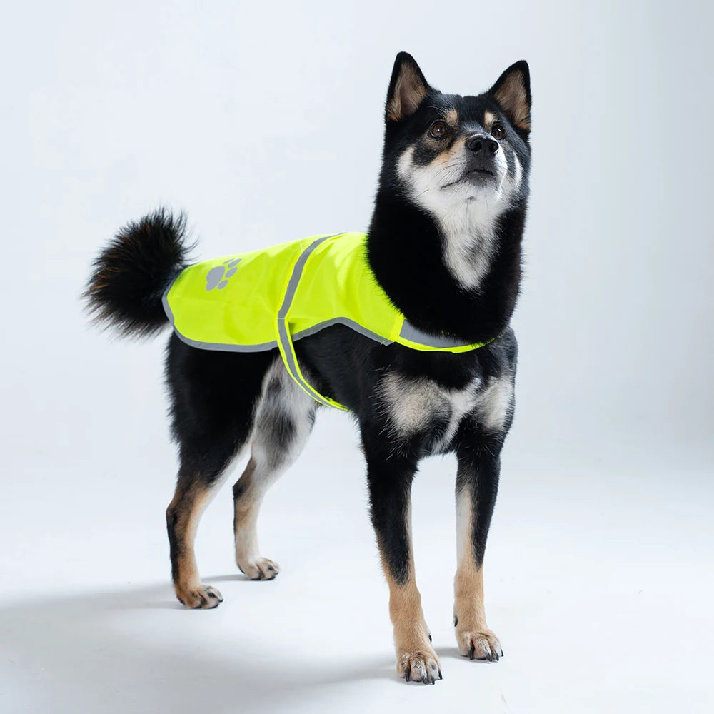 Dog Reflective Vest Fluorescent High Visibility Doggie Jacket